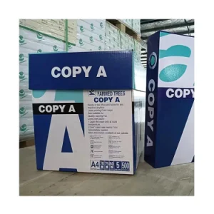 PAPIER FORMAT A4 80GSM BLANC COPY A